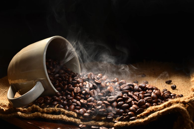 סוגי פולי קפה: מה ההבדל בין ערביקה לבין רובוסטה?